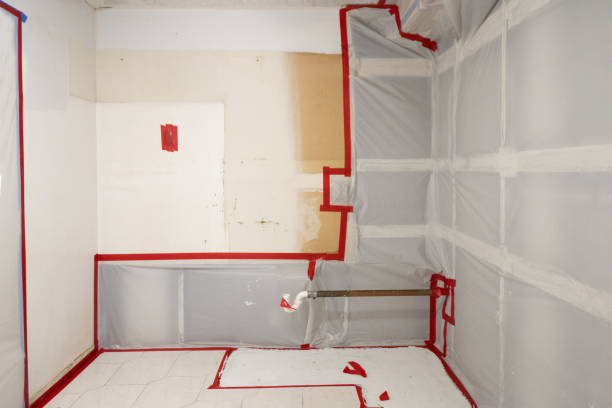 Lakewood Clu, MI Mold Removal Company