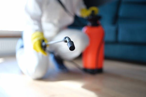 Best Post-Remediation Verification Testing  in Lakewood Clu, MI
